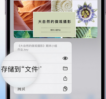 锦州apple维修中心分享iPhone文件应用中存储和找到下载文件