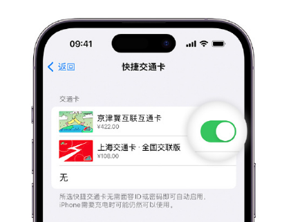 锦州apple维修点分享iPhone上更换Apple Pay快捷交通卡手绘卡面 