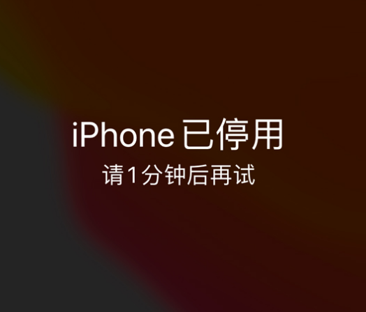 锦州苹果手机维修分享:iPhone 显示“不可用”或“已停用”怎么办？还能保留数据吗？ 