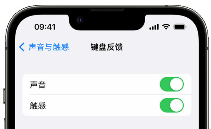 锦州苹果手机维修分享iPhone 14触感键盘使用方法 