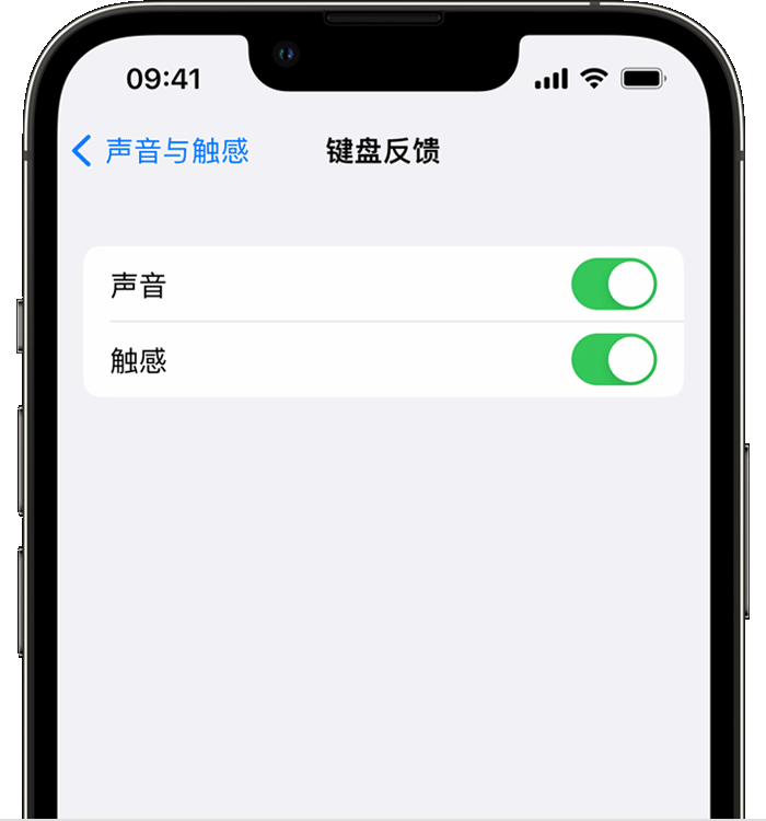 锦州苹果14维修店分享如何在 iPhone 14 机型中使用触感键盘 