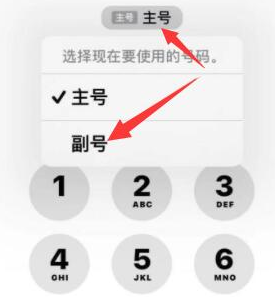 锦州苹果14维修店分享iPhone 14 Pro Max使用副卡打电话的方法 