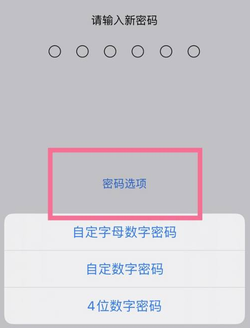 锦州苹果14维修分享iPhone 14plus设置密码的方法 