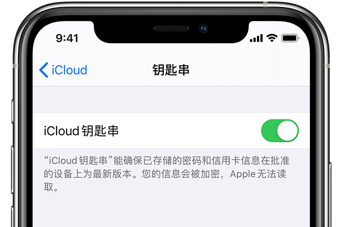 锦州苹果手机维修分享在 iPhone 上开启 iCloud 钥匙串之后会储存哪些信息 