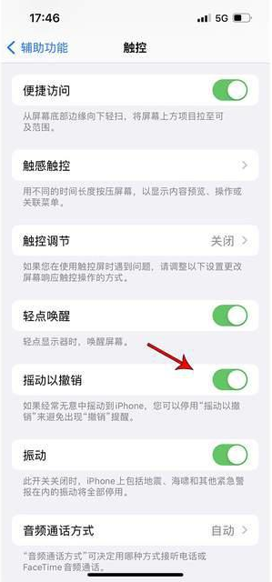 锦州苹果手机维修分享iPhone手机如何设置摇一摇删除文字 