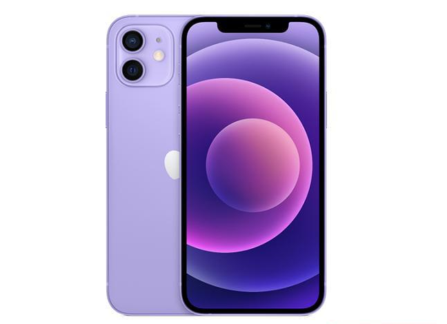 锦州苹果手机维修分享现阶段要不要入手紫色版iPhone12 